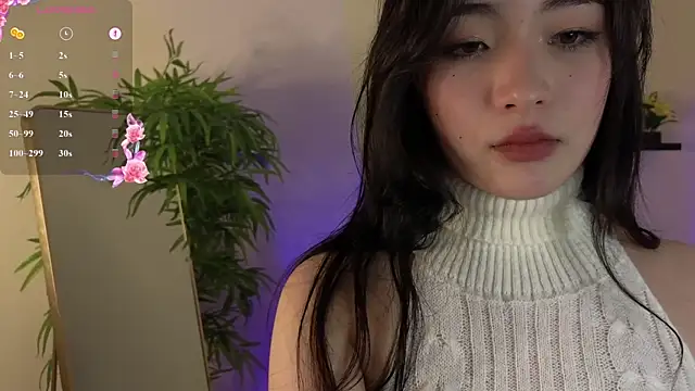 Noiry_Vuvez webcam