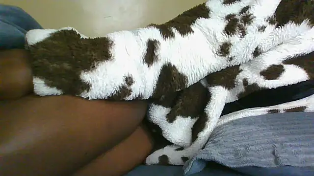 cahnny webcam
