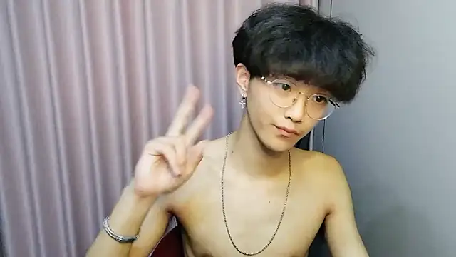 wssoo11 webcam