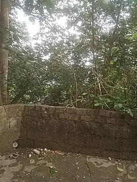 Diana_hi webcam