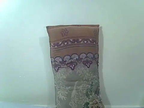 Rilaveta064 webcam
