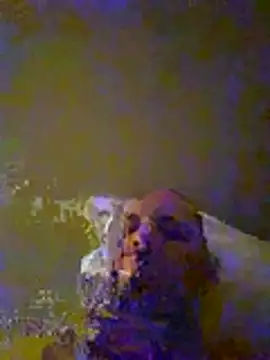 dufatcock webcam