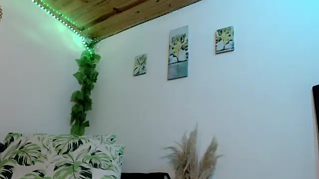 Donniia webcam
