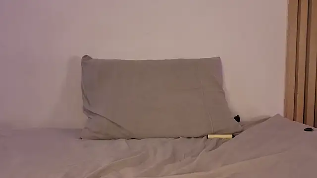 sofiesoft webcam