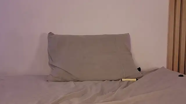 sofiesoft webcam