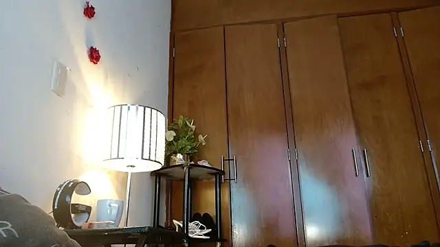 3littles webcam