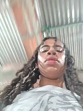 Model: Dirty_Salome2