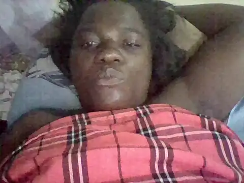 missarpie webcam