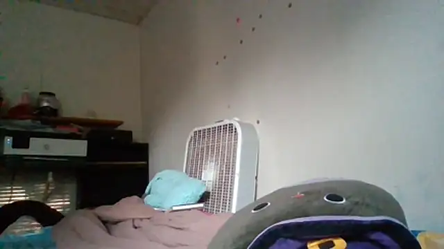 starlight1983 webcam