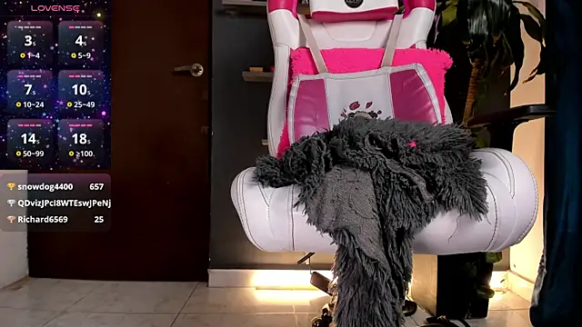 stelleknox_ webcam