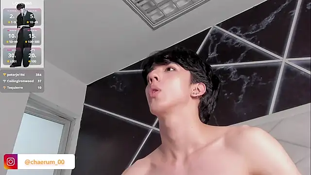 AerumChae webcam
