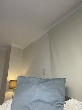 Samispank webcam