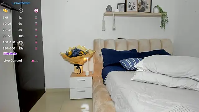 CHAYBLACK webcam