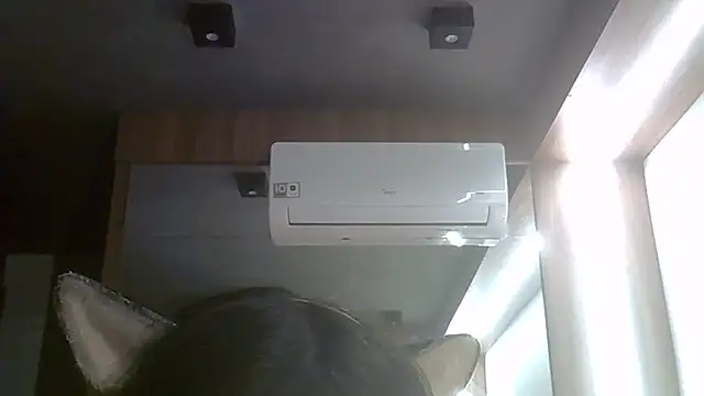 SkinnyKitten webcam