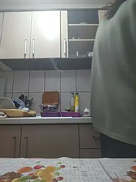 vulpe8400 webcam