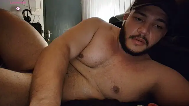 theusxbear webcam