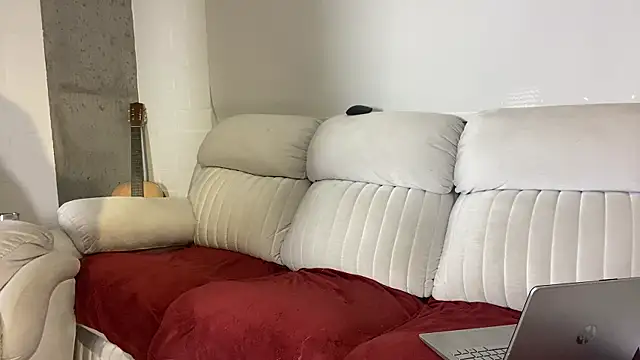 perceo_and_saddie webcam