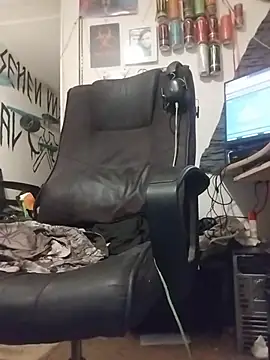 harterdome webcam