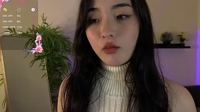 Noiry_Vuvez webcam