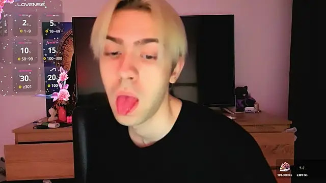skibatryanka webcam