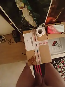 Lul18809 webcam