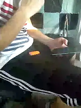 Wero4200 webcam