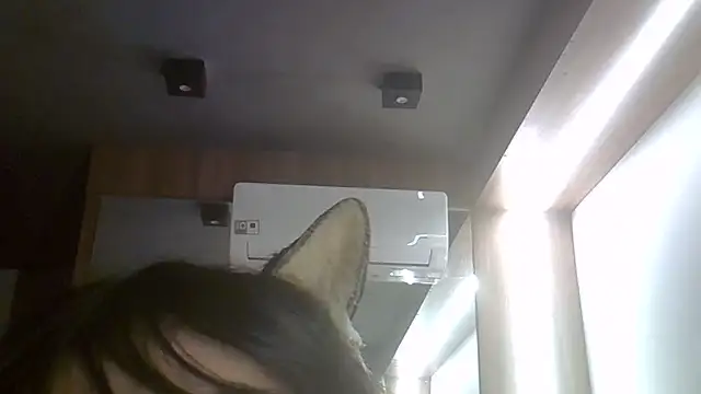 SkinnyKitten webcam