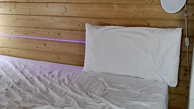 wild41 webcam
