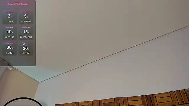 ambaar__1 webcam