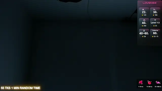 samarawells webcam