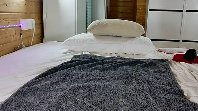 wild41 webcam