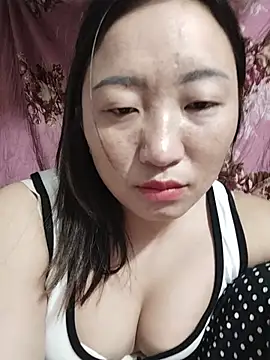 zhen-zo webcam