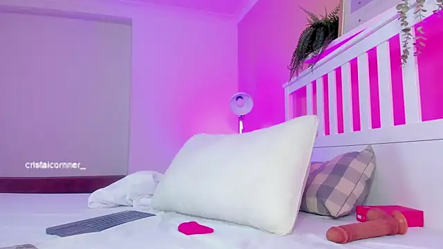 CristalCornner_ webcam