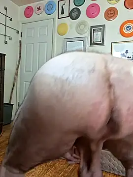 pena633 webcam