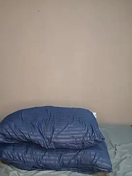barbaratwerk webcam