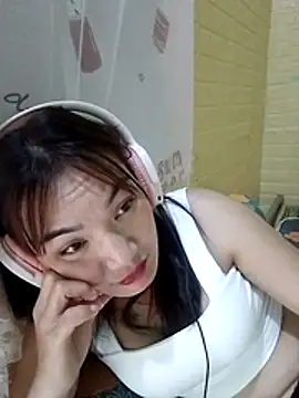 Voiva11 webcam