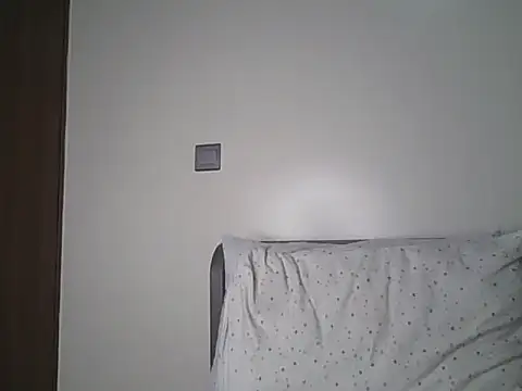 Alevic_ webcam