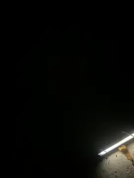 Boysex227 webcam