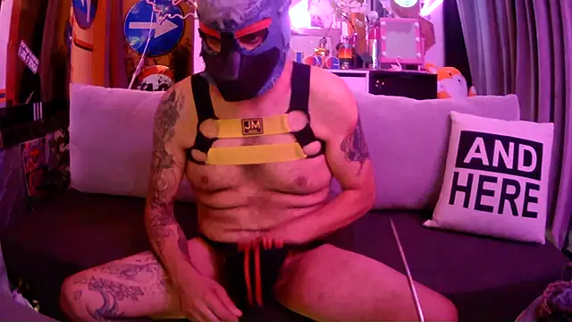 danix_wild_wolf webcam