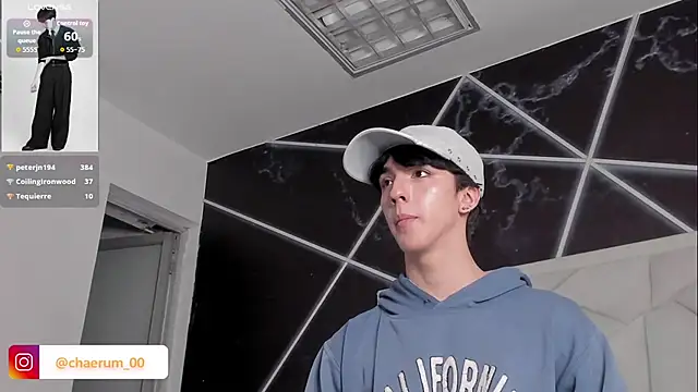 AerumChae webcam