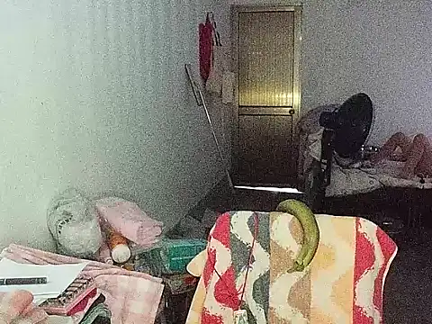 RebelAura webcam