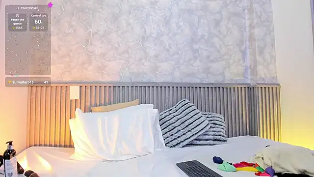 Reichel05_ webcam