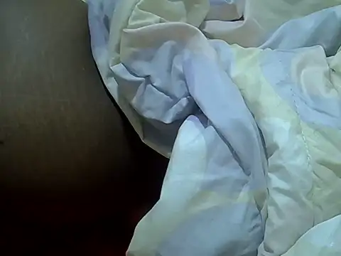 verl1 webcam