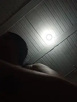 Ann_Houston_ webcam