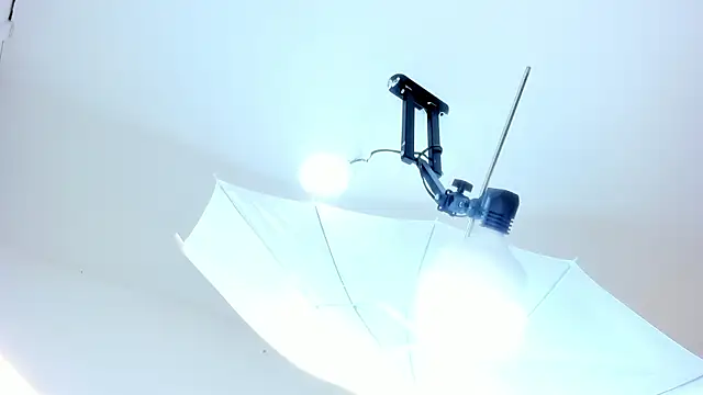 tania_brown01 webcam