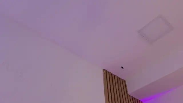 sofiesoft webcam