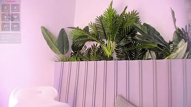 stephanymonroe webcam