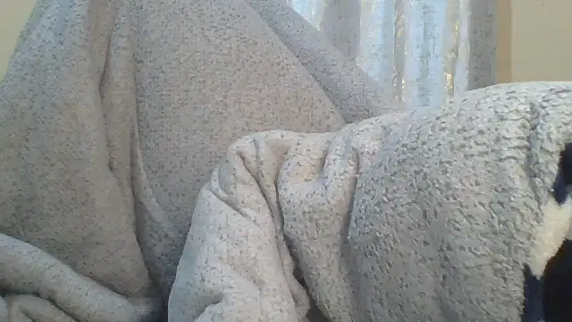 ndivhuwomuleya webcam