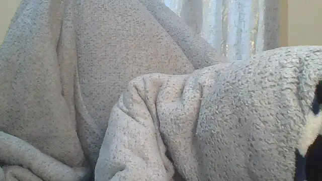 ndivhuwomuleya webcam