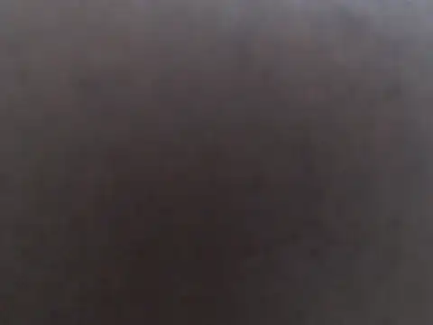 bull_blackponse webcam